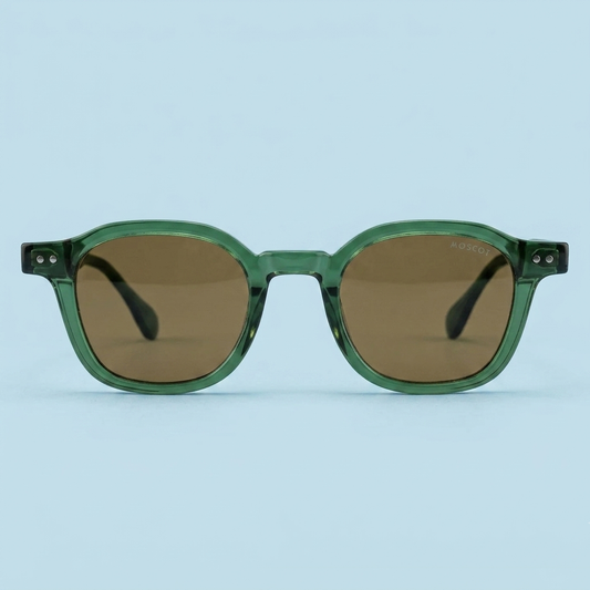 Gelt Sun — Vert / Verres polarisés marron